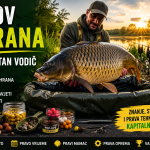 Lov šarana – kompletan vodič za uspješan ribolov