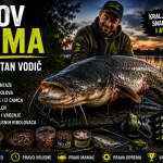 Lov soma – kompletan vodič za uspješan ribolov
